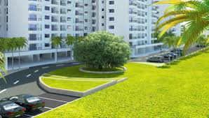 palm grove estate chennai